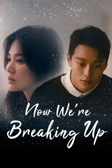 Now, We Are Breaking Up Poster