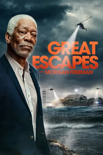 Poster for the TV series "History
