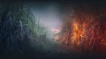 Backdrop for the TV series "Reyka" #1868350