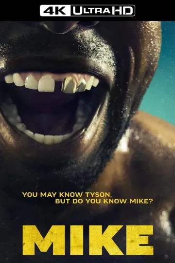 Poster for the TV series "Mike" #1855483