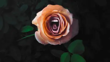 Backdrop к сериалу "Roar" #1417774
