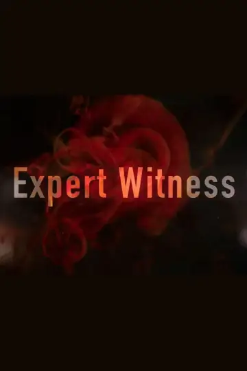 Poster for the TV series "Expert Witness" #1602510