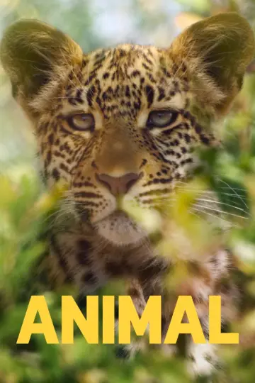 Poster for the TV series "Animal" #1833774