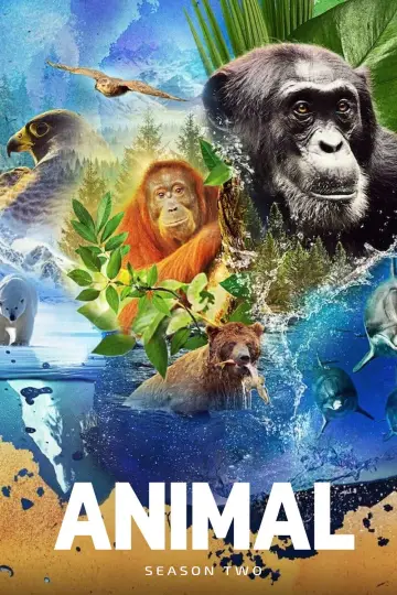 Poster for the TV series "Animal" #1833777