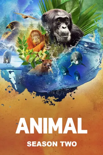 Poster for the TV series "Animal" #1833843