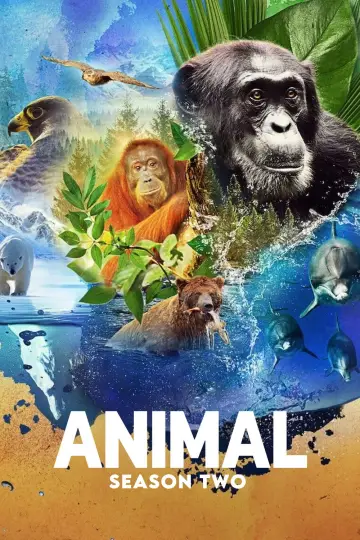 Poster for the TV series "Animal" #1833844