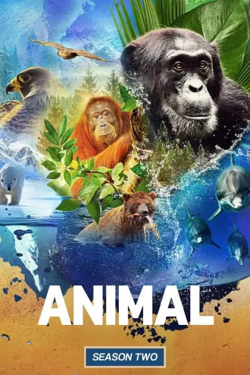 Poster for the TV series "Animal" #1833845