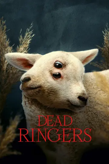 Poster for the TV series "Dead Ringers" #1851607
