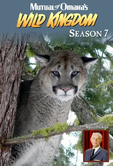 Season 7