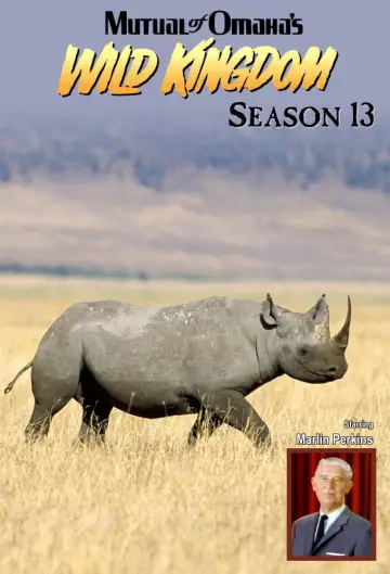 Season 13