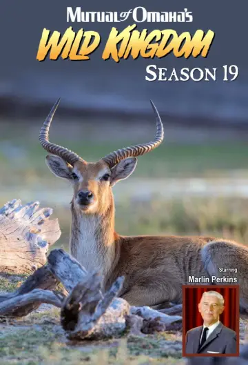 Season 19