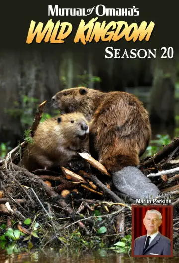 Season 20