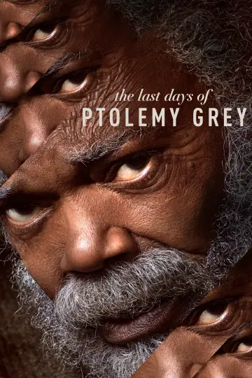 Poster for the TV series "The Last Days of Ptolemy Grey" #1876802