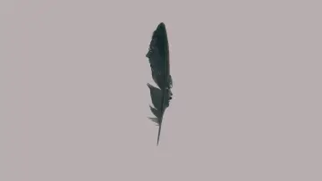 Backdrop к сериалу "Black Bird" #1383680