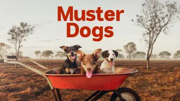 Backdrop for the TV series "Muster Dogs" #1609056