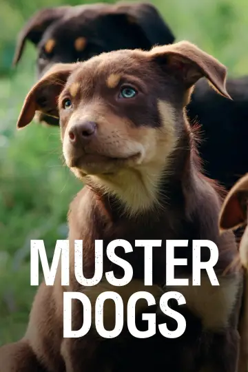 Poster for the TV series "Muster Dogs" #1609062