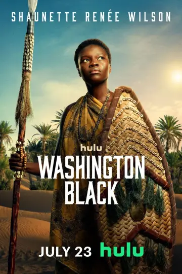 Poster for the TV series "Washington Black" #1482247