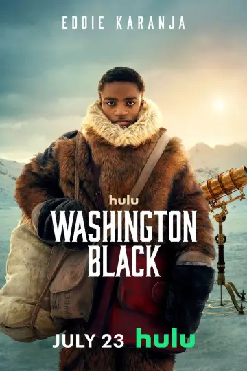Poster for the TV series "Washington Black" #1482249