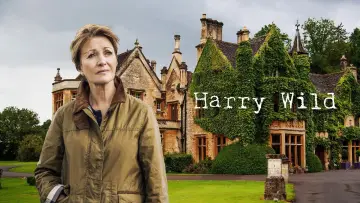 Backdrop к сериалу "Harry Wild" #1401853