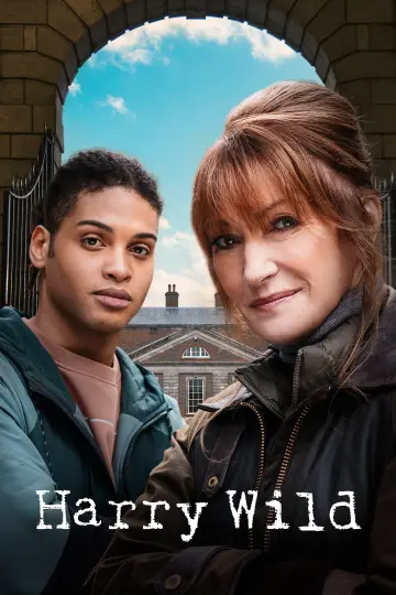 Poster к сериалу "Harry Wild" #1401863