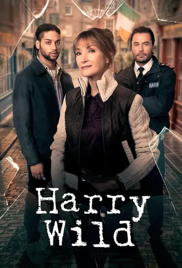 Poster к сериалу "Harry Wild" #1401866