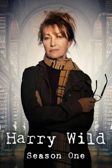 Poster for the TV series "Harry Wild" #1722379