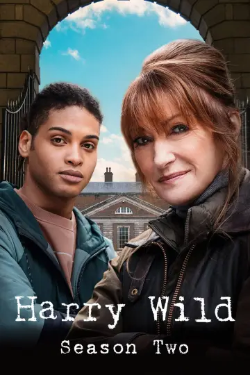 Poster for the TV series "Harry Wild" #1722385