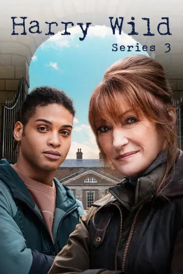 Poster for the TV series "Harry Wild" #1722386