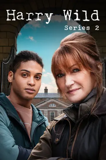 Poster for the TV series "Harry Wild" #1722387