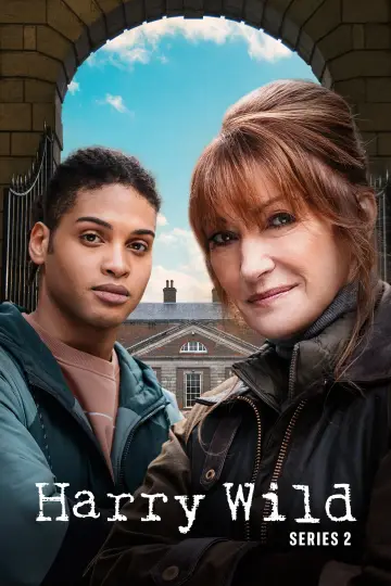 Poster for the TV series "Harry Wild" #1722388