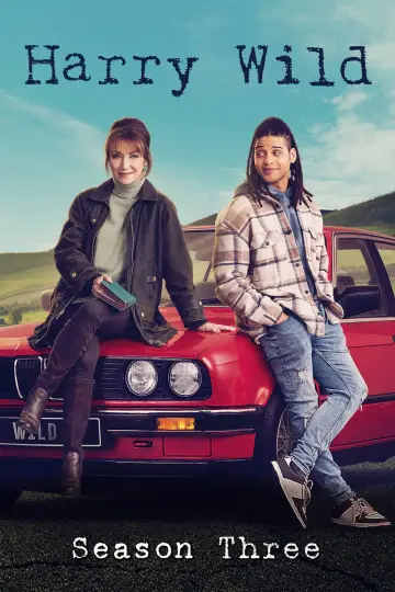 Poster for the TV series "Harry Wild" #1722392