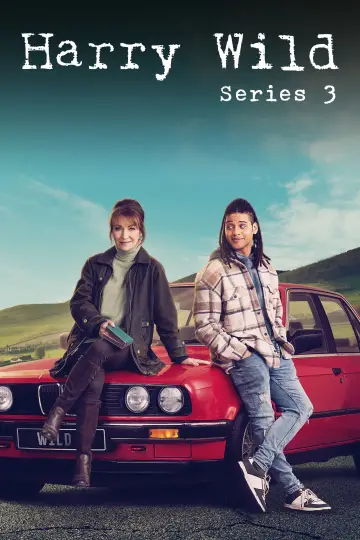 Poster for the TV series "Harry Wild" #1722393