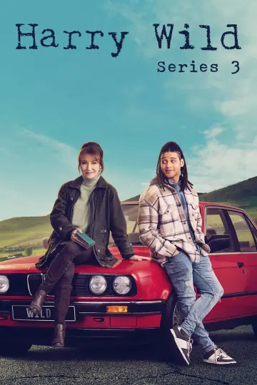 Poster for the TV series "Harry Wild" #1722395