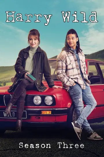 Poster for the TV series "Harry Wild" #1722396