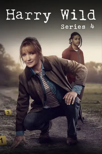 Poster for the TV series "Harry Wild" #1722400