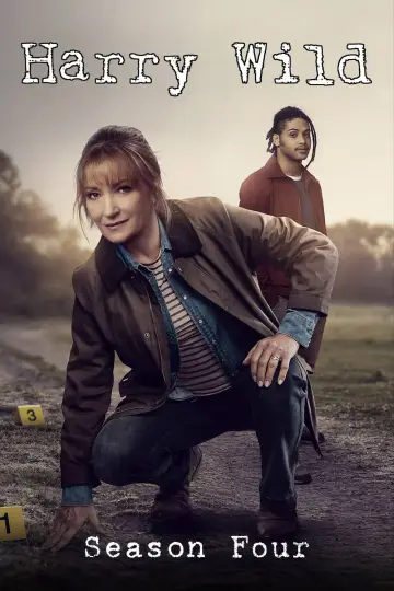 Poster for the TV series "Harry Wild" #1722401