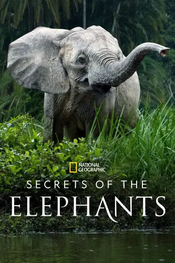 Poster for the TV series "Secrets of the Elephants" #1865469