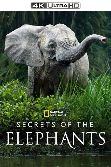 Poster for the TV series "Secrets of the Elephants" #1865470