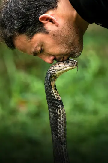 Poster for the TV series "David Blaine: Do Not Attempt" #1538659