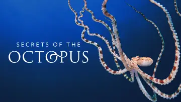 Backdrop for the TV series "Secrets of the Octopus" #1805943