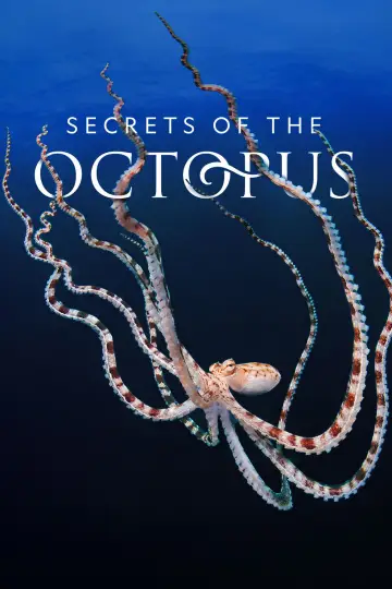 Poster for the TV series "Secrets of the Octopus" #1805953