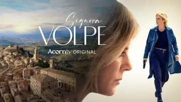 Backdrop for the TV series "Signora Volpe" #1677218