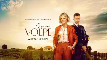 Backdrop for the TV series "Signora Volpe" #1677220