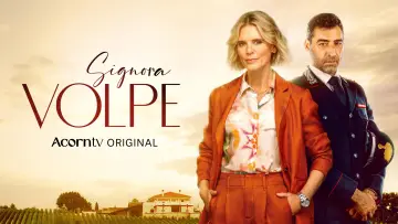 Backdrop for the TV series "Signora Volpe" #1677226