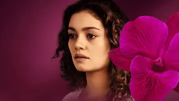 Backdrop for the TV series "All the Flowers" #1663672
