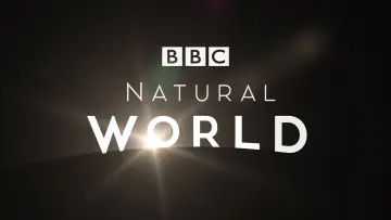 Backdrop к сериалу "Natural World" #1315939