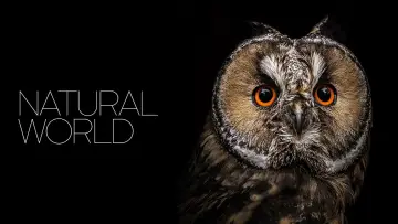 Backdrop к сериалу "Natural World" #1315941