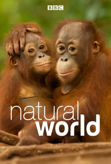 Natural World (1983)