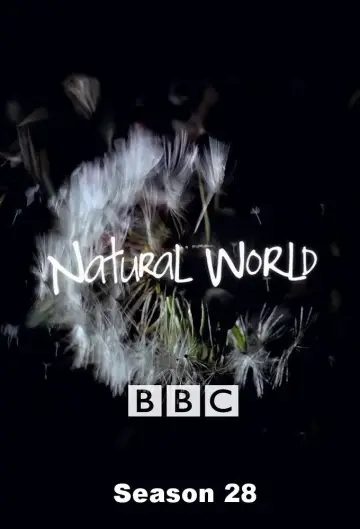 Season 28