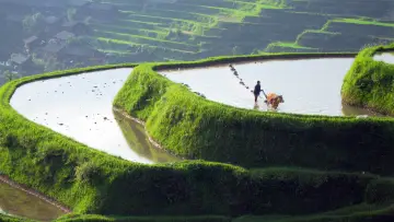 Backdrop for the TV series "Wild China" #1716998